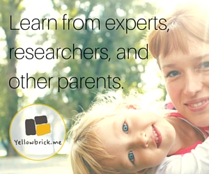 Yellowbrick Banner 300x250 (1)