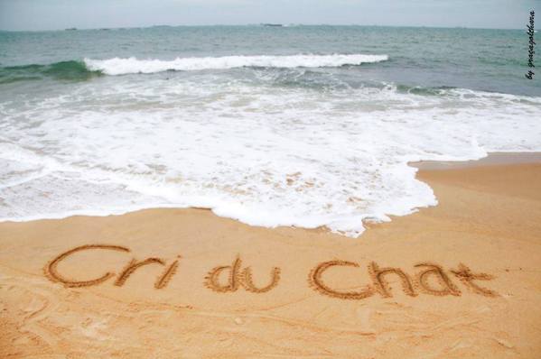 12985524_601600049992520_3060159385246360728_n