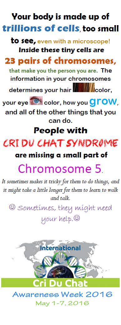 13130954_10209144835875775_2525469142028556417_o